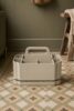 Stain-Care Carry Caddy
